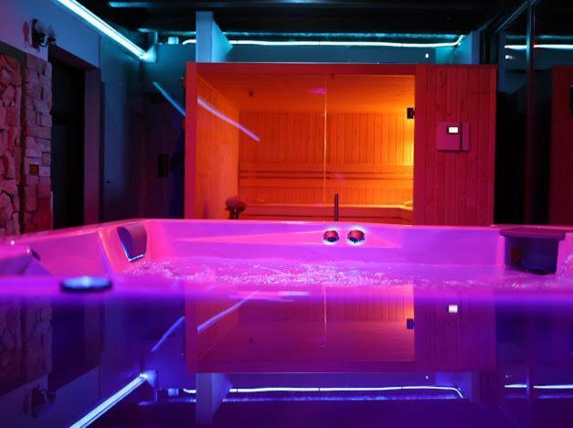 Hanu Lui Gica Spa Satu Mare Eksteriør bilde